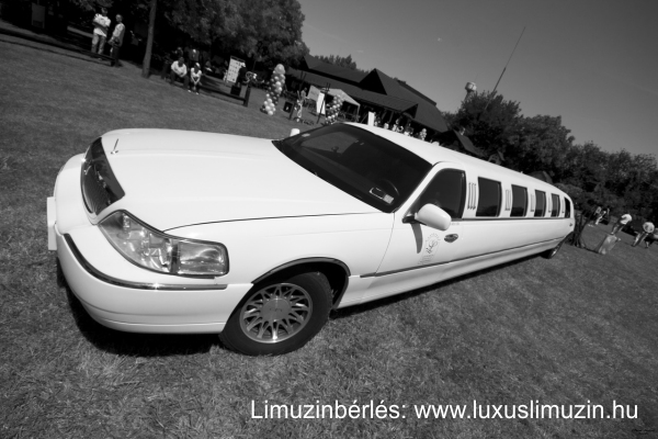 Limuzinbrls kecskemt limuzinbrls lajosmizse barbie limo playboy limo pink limo party limo rzsaszn limuzin budapest lnybcs pink limuzin